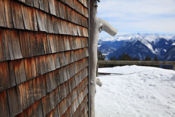 Cedar Siding Repair in Wichita